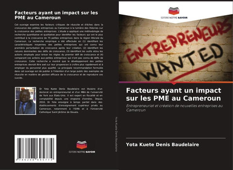 Facteurs ayant un impact sur les PME au Cameroun