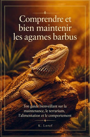 Comprendre et bien maintenir les agames barbus