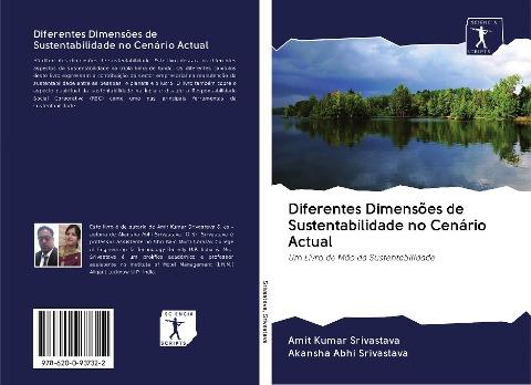 Diferentes Dimensões de Sustentabilidade no Cenário Actual