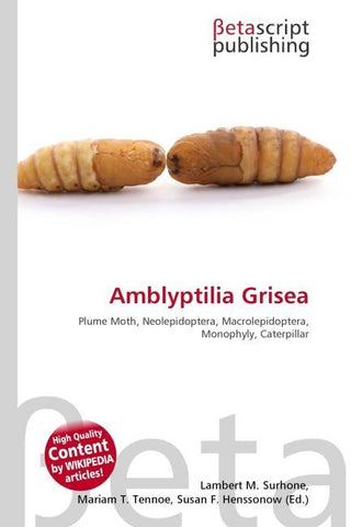 Amblyptilia Grisea
