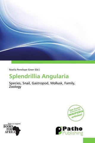 Splendrillia Angularia