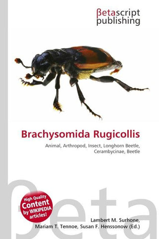 Brachysomida Rugicollis