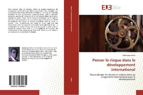 Penser le risque dans le développement international