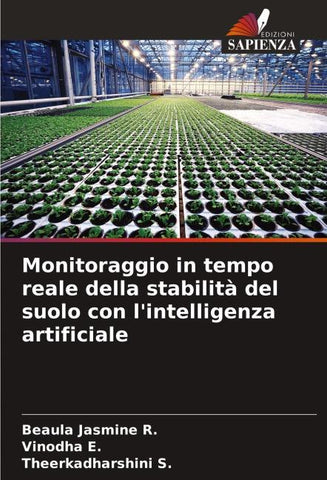 Monitoraggio in tempo reale della stabilità del suolo con l'intelligenza artificiale