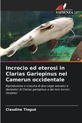 Incrocio ed eterosi in Clarias Gariepinus nel Camerun occidentale