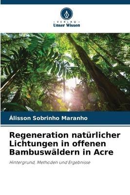 Regeneration natürlicher Lichtungen in offenen Bambuswäldern in Acre