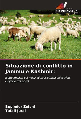 Situazione di conflitto in Jammu e Kashmir: