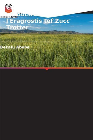 Comment augmenter la productivité de l'Eragrostis tef Zucc Trotter