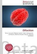 Olfaction