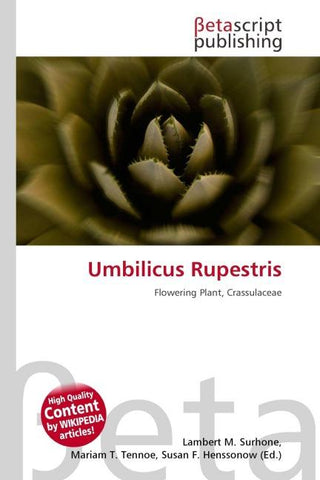 Umbilicus Rupestris