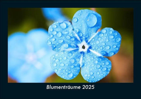 Blumenträume 2025 Fotokalender DIN A5