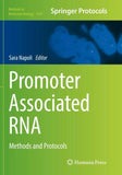 Promoter Associated RNA