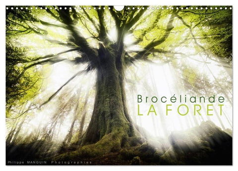 BROCELIANDE, la forêt (Calendrier mural 2026 DIN A3 vertical), CALVENDO calendrier mensuel