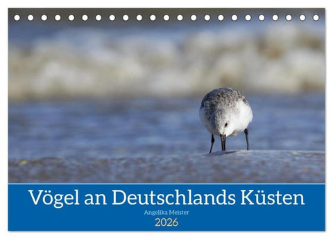Vögel an Deutschlands Küsten (Tischkalender 2026 DIN A5 quer), CALVENDO Monatskalender
