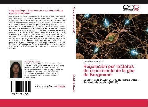 Regulación por factores de crecimiento de la glia de Bergmann