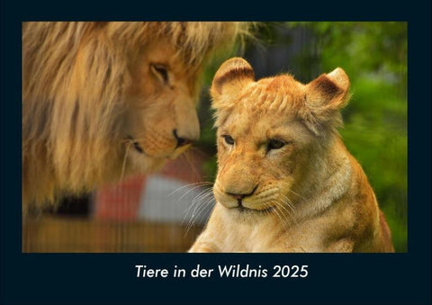 Tiere in der Wildnis 2025 Fotokalender DIN A4