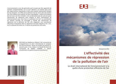 L'effectivité des mécanismes de répression de la pollution de l'air