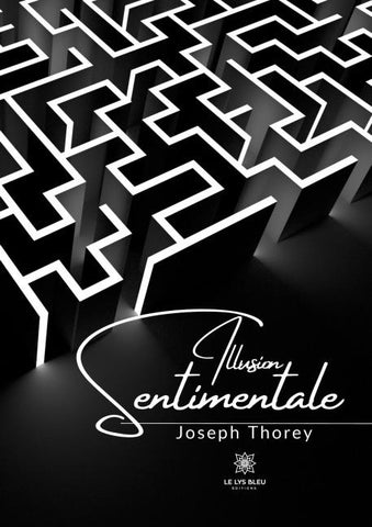Illusion sentimentale