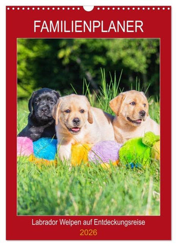 Familienplaner - Labrador Welpen entdecken die Welt (Wandkalender 2026 DIN A3 hoch), CALVENDO Monatskalender