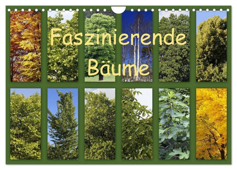 Faszinierende Bäume (Wandkalender 2026 DIN A4 quer), CALVENDO Monatskalender