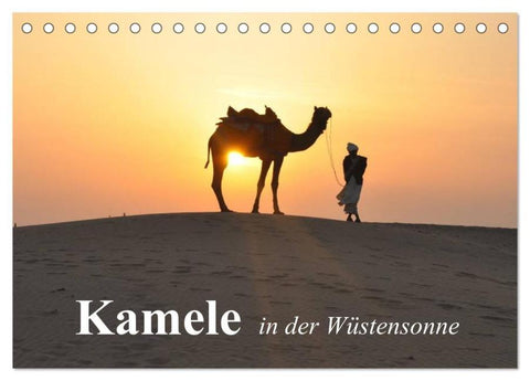 Kamele in der Wüstensonne (Tischkalender 2026 DIN A5 quer), CALVENDO Monatskalender