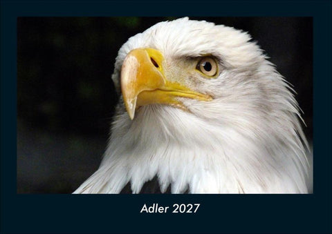 Adler 2027 Fotokalender DIN A4