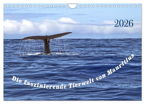 Faszinierende Tierwelt von Mauritius - Magische Momente der Natur (Wandkalender 2026 DIN A4 quer), CALVENDO Monatskalender
