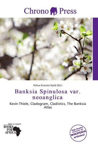 Banksia Spinulosa var. neoanglica