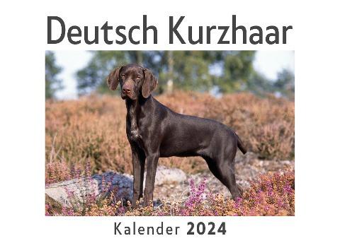 Deutsch Kurzhaar (Wandkalender 2024, Kalender DIN A4 quer, Monatskalender im Querformat mit Kalendarium, Das perfekte Geschenk)