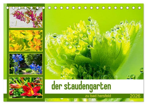 der staudengarten zu bad hersfeld (Tischkalender 2026 DIN A5 quer), CALVENDO Monatskalender