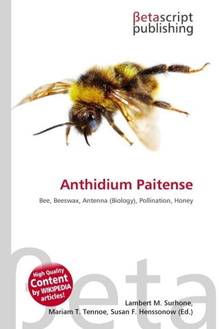 Anthidium Paitense