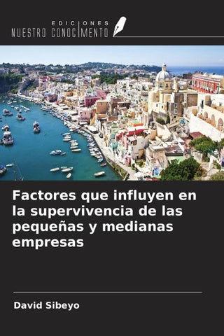 Factores que influyen en la supervivencia de las pequeñas y medianas empresas