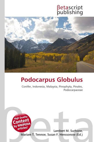 Podocarpus Globulus