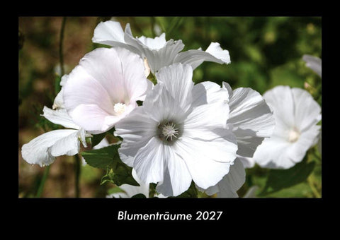 Blumenträume 2027 Fotokalender DIN A3