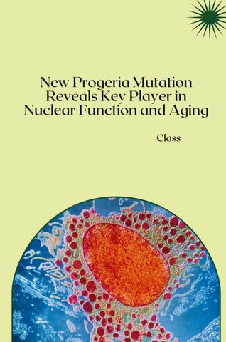 New Progeria Mutation Reveals Key Player in Nuclear Function and Aging