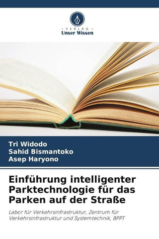 Einführung intelligenter Parktechnologie für das Parken auf der Straße