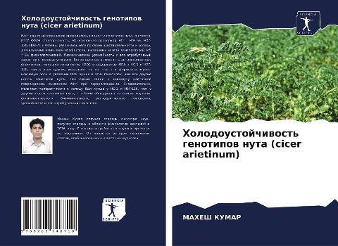 Holodoustojchiwost' genotipow nuta (cicer arietinum)