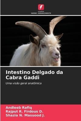 Intestino Delgado da Cabra Gaddi