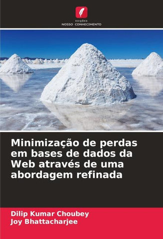 Minimização de perdas em bases de dados da Web através de uma abordagem refinada