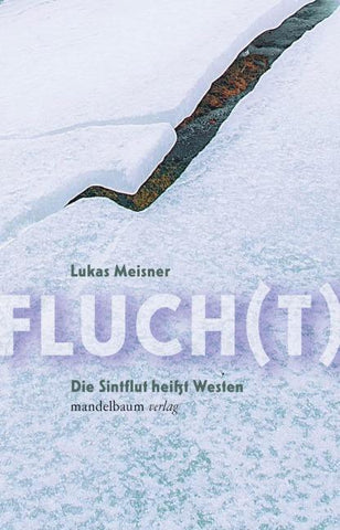 Fluch(t)