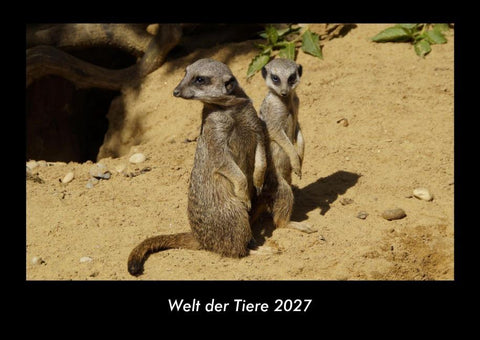 Welt der Tiere 2027 Fotokalender DIN A3