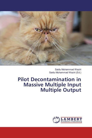 Pilot Decontamination in Massive Multiple Input Multiple Output