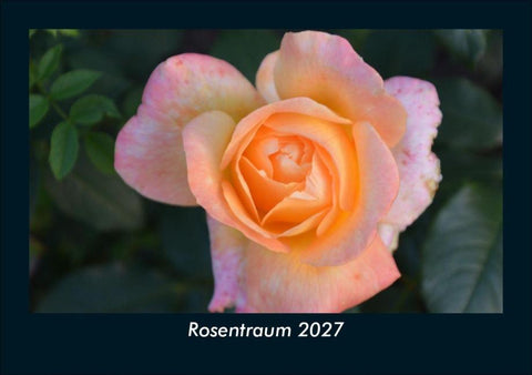 Rosentraum 2027 Fotokalender DIN A5