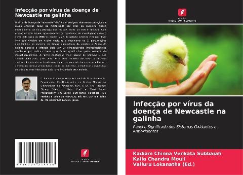 Infecção por vírus da doença de Newcastle na galinha