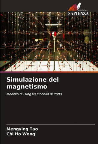 Simulazione del magnetismo