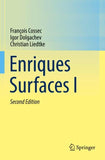 Enriques Surfaces I