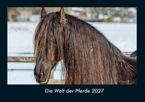 Die Welt der Pferde 2027 Fotokalender DIN A4