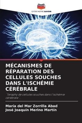 MÉCANISMES DE RÉPARATION DES CELLULES SOUCHES DANS L'ISCHÉMIE CÉRÉBRALE