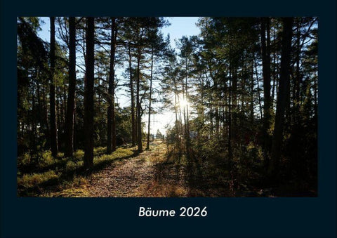 Bäume 2026 Fotokalender DIN A4