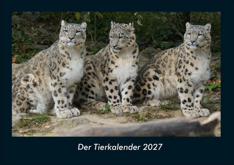 Der Tierkalender 2027 Fotokalender DIN A4